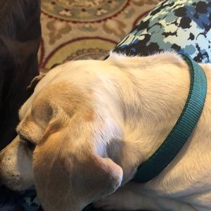 Meet your Posher, Rhonda